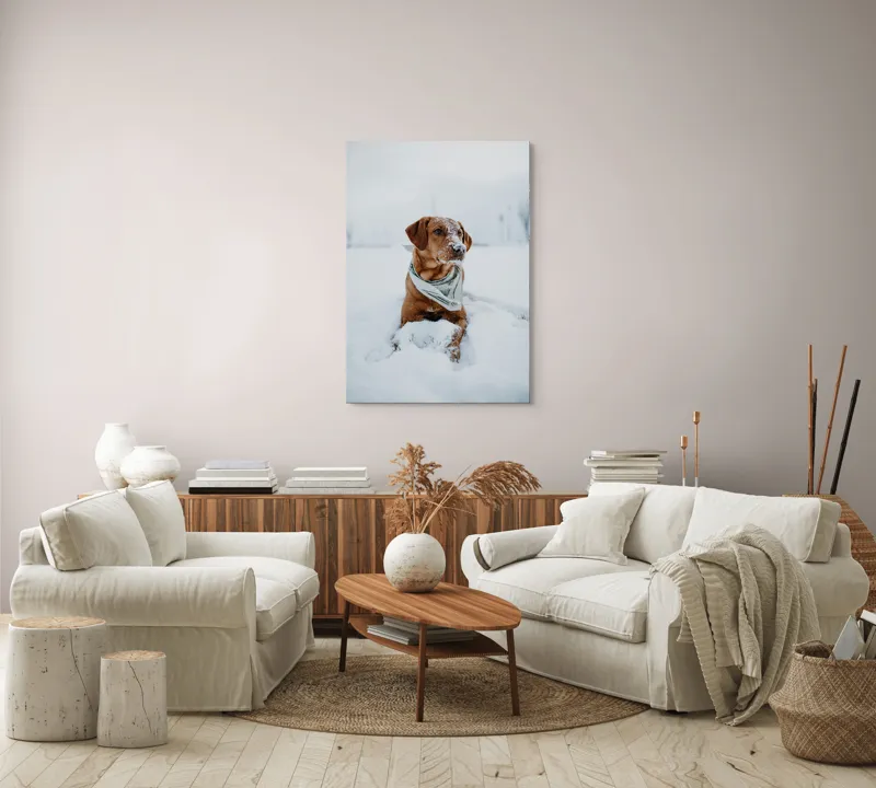 Tablou Canvas, "Cățel joacă în zăpada albă", Neștiind Cine Este, 70 x 100 cm – poza 4