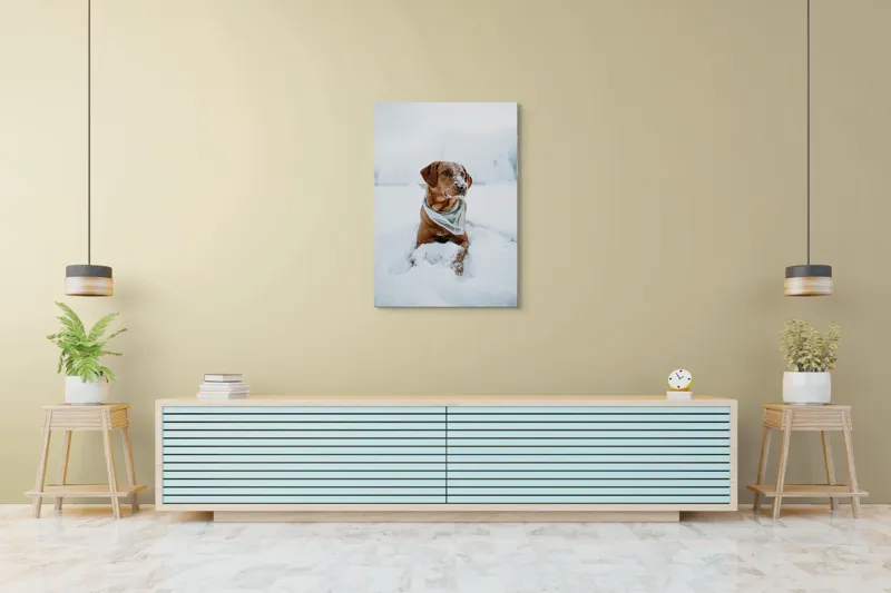 Tablou Canvas, "Cățel joacă în zăpada albă", Neștiind Cine Este, 70 x 100 cm – poza 5