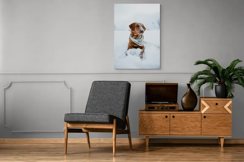 Tablou Canvas, "Cățel joacă în zăpada albă", Neștiind Cine Este, 70 x 100 cm – poza 6