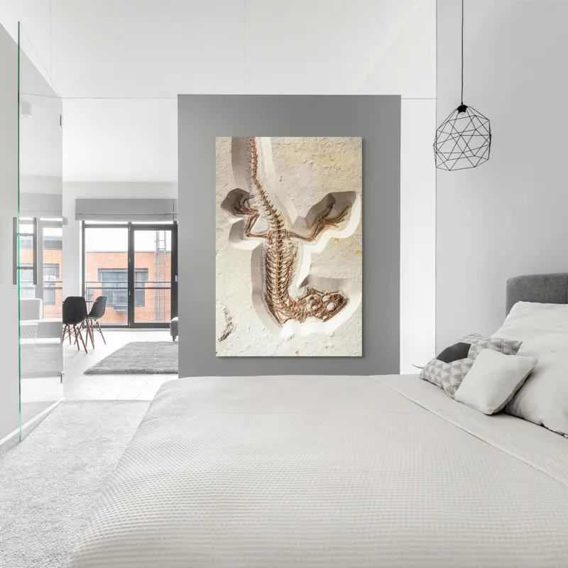 Tablou Canvas, "Fosilă de șopârlă în stâncă păstrată", Șopârlă, Fosilă, Schelet, Detaliat, Pietrificat, Paleontologie, Istorie, Natură., 100 x 150 cm – poza 5
