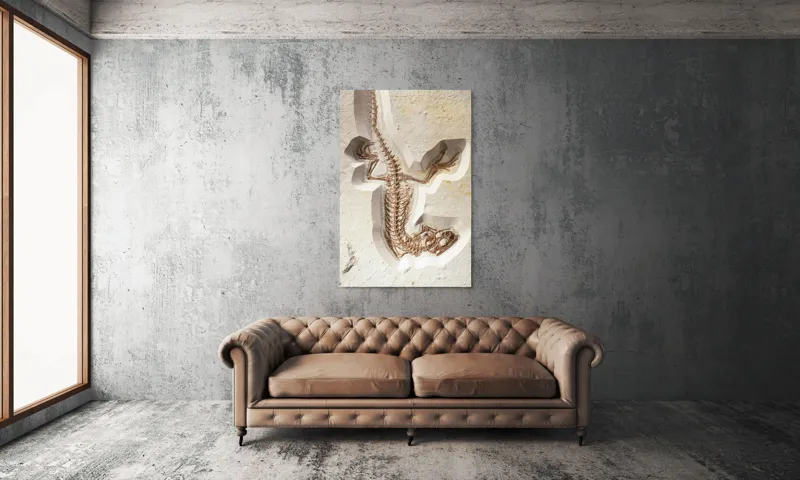 Tablou Canvas, "Fosilă de șopârlă în stâncă păstrată", Șopârlă, Fosilă, Schelet, Detaliat, Pietrificat, Paleontologie, Istorie, Natură., 100 x 150 cm – poza 6