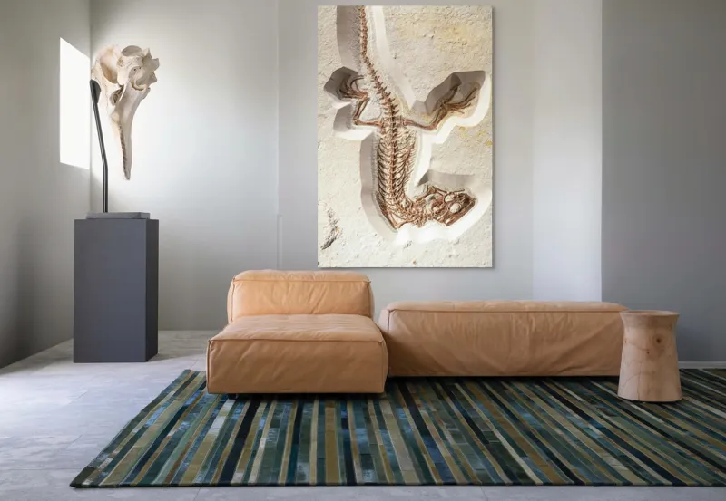 Tablou Canvas, "Fosilă de șopârlă în stâncă păstrată", Șopârlă, Fosilă, Schelet, Detaliat, Pietrificat, Paleontologie, Istorie, Natură., 100 x 150 cm – poza 7