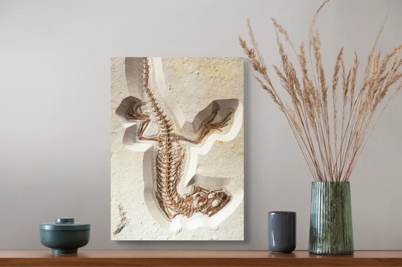 Tablou Canvas, "Fosilă de șopârlă în stâncă păstrată", Șopârlă, Fosilă, Schelet, Detaliat, Pietrificat, Paleontologie, Istorie, Natură., 39 x 54 cm – poza 3