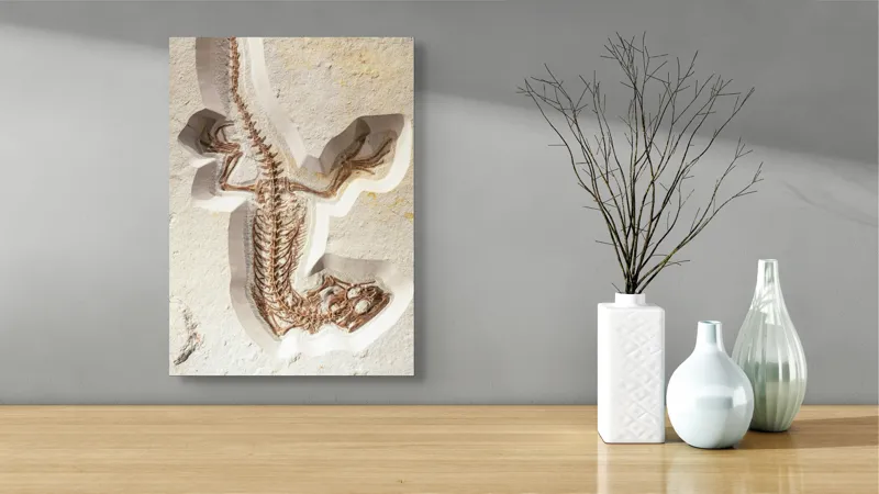 Tablou Canvas, "Fosilă de șopârlă în stâncă păstrată", Șopârlă, Fosilă, Schelet, Detaliat, Pietrificat, Paleontologie, Istorie, Natură., 39 x 54 cm – poza 4