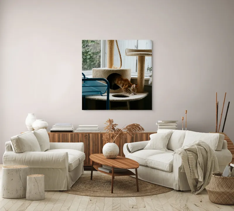 Tablou Canvas, "Motanul explorator în turnul de joacă", Pisică, Jucăușă, Cățărătoare, Mobilier, Lumină, Fereastră, Blană, Coardă, Joacă, Interior, 100 x 100 cm – poza 3