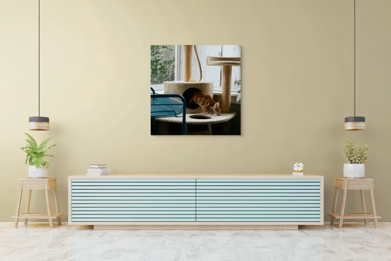 Tablou Canvas, "Motanul explorator în turnul de joacă", Pisică, Jucăușă, Cățărătoare, Mobilier, Lumină, Fereastră, Blană, Coardă, Joacă, Interior, 100 x 100 cm – poza 5