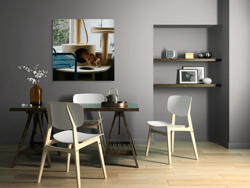 Tablou Canvas, "Motanul explorator în turnul de joacă", Pisică, Jucăușă, Cățărătoare, Mobilier, Lumină, Fereastră, Blană, Coardă, Joacă, Interior, 100 x 100 cm – poza 6