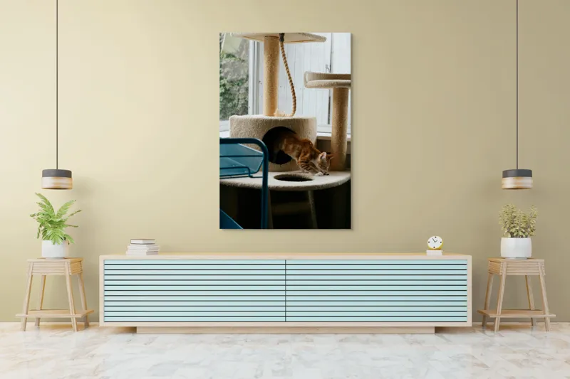 Tablou Canvas, "Motanul explorator în turnul de joacă", Pisică, Jucăușă, Cățărătoare, Mobilier, Lumină, Fereastră, Blană, Coardă, Joacă, Interior, 100 x 150 cm – poza 4