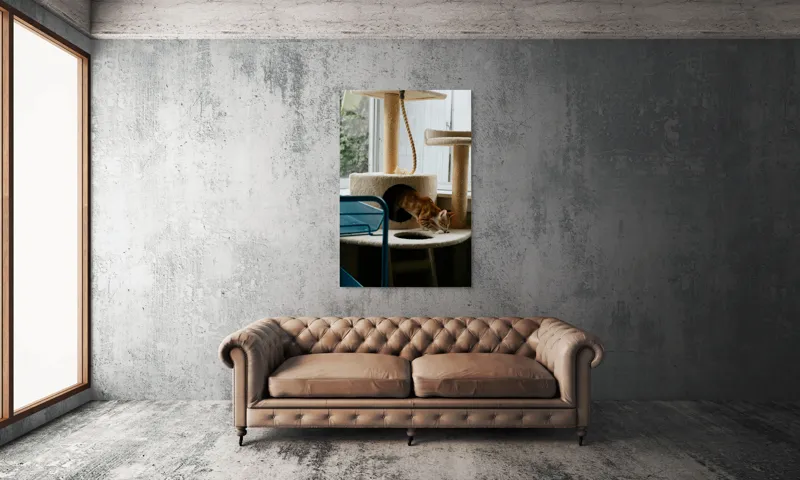 Tablou Canvas, "Motanul explorator în turnul de joacă", Pisică, Jucăușă, Cățărătoare, Mobilier, Lumină, Fereastră, Blană, Coardă, Joacă, Interior, 100 x 150 cm – poza 6
