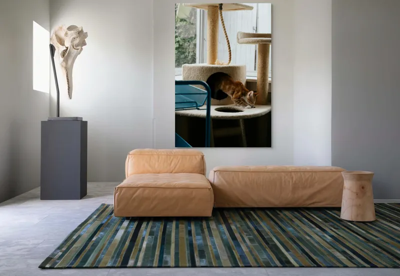 Tablou Canvas, "Motanul explorator în turnul de joacă", Pisică, Jucăușă, Cățărătoare, Mobilier, Lumină, Fereastră, Blană, Coardă, Joacă, Interior, 100 x 150 cm – poza 7