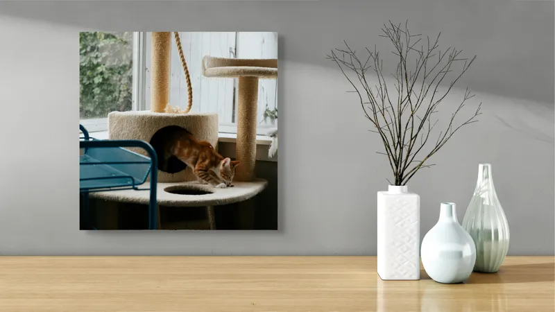 Tablou Canvas, "Motanul explorator în turnul de joacă", Pisică, Jucăușă, Cățărătoare, Mobilier, Lumină, Fereastră, Blană, Coardă, Joacă, Interior, 50 x 50 cm – poza 3