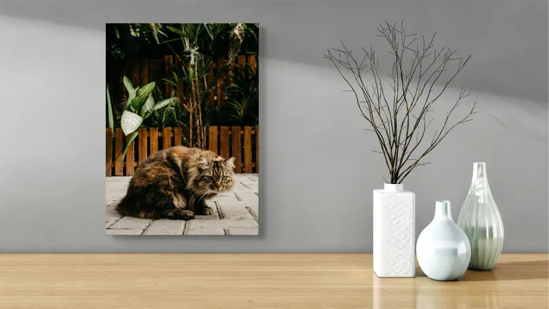 Tablou Canvas, "Pisica în grădina tropicală liniștită", Pisoi, Blană, Grădină, Gard, Plante, Cărămidă, Verdeață, Relaxare, 39 x 54 cm – poza 4