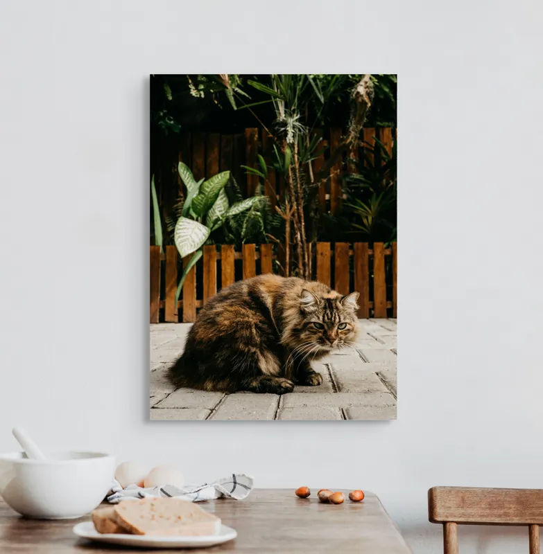 Tablou Canvas, "Pisica în grădina tropicală liniștită", Pisoi, Blană, Grădină, Gard, Plante, Cărămidă, Verdeață, Relaxare, 50 x 70 cm – poza 3