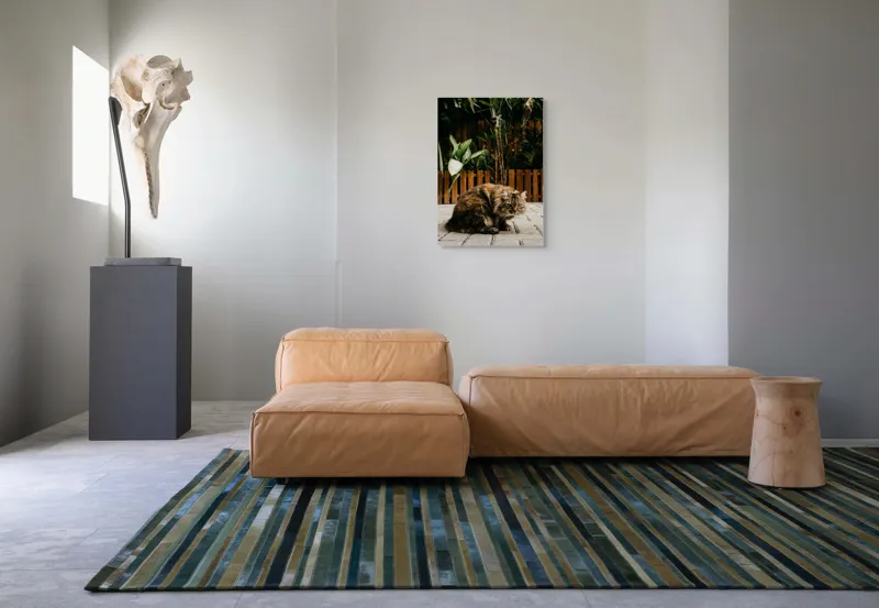 Tablou Canvas, "Pisica în grădina tropicală liniștită", Pisoi, Blană, Grădină, Gard, Plante, Cărămidă, Verdeață, Relaxare, 50 x 70 cm – poza 7