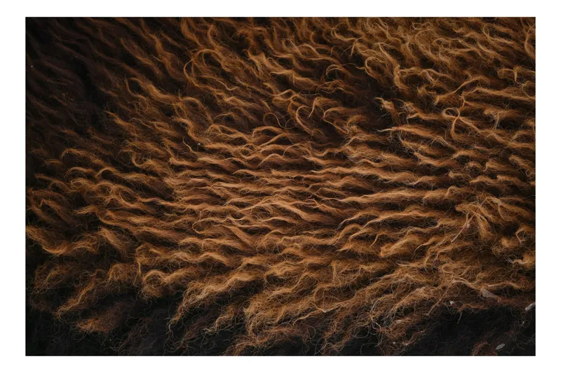 Tablou Canvas, "Texturi de toamnă în desișul pădurii", Ondulat, Textură, Maro, Dens, Suvitate, 54 x 39 cm