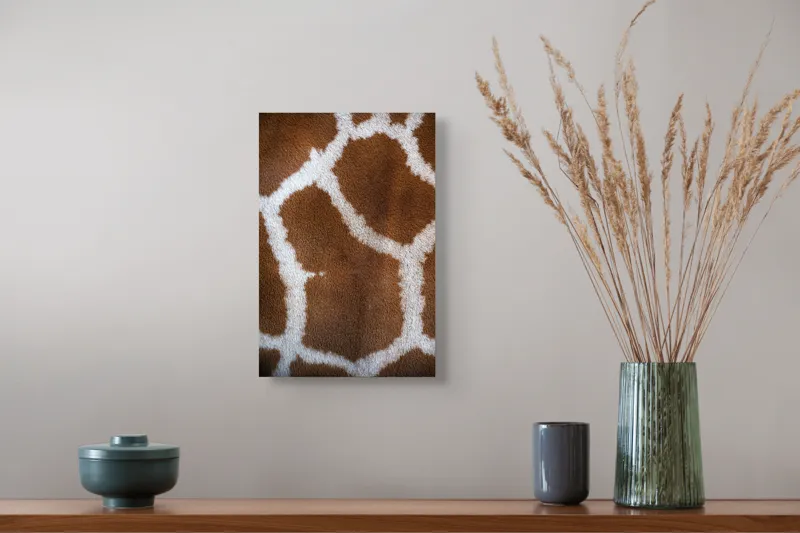 Tablou Canvas, "Model de blană girafului african", Model, Textură, Giraffe, Piele, Natură, Pete, Maro, Alb, Contrast, Frumusețe., 26 x 39 cm – poza 5