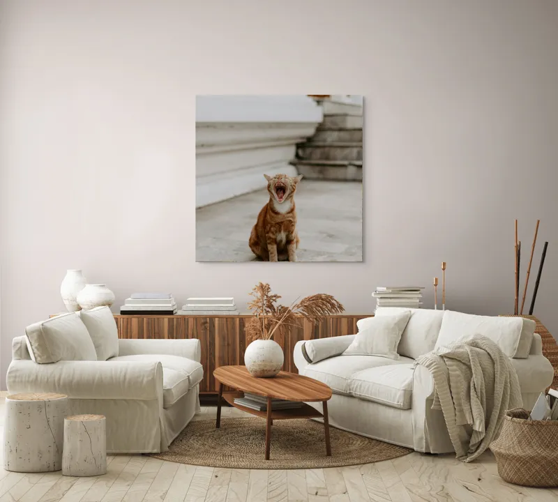 Tablou Canvas, "Pisica portocalie căscând pe trepte", Pisică, Cărămizie, Căscat, Trepte, Exterior, Relaxare, Amuzament, Blană, 100 x 100 cm – poza 3