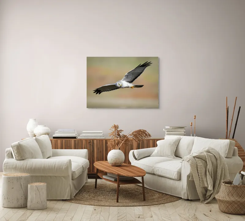 Tablou Canvas, "Vânătorul cerului în zbor lin", Pasăre, Zbor, Aripă, Cer, Natură, Pradă, Libertate, Eleganță, Cerneală, Răpitor., 100 x 70 cm – poza 3