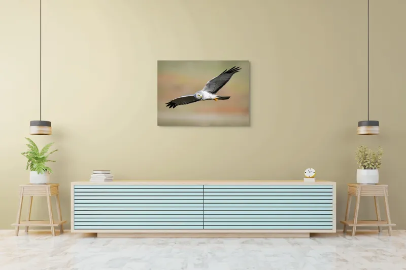 Tablou Canvas, "Vânătorul cerului în zbor lin", Pasăre, Zbor, Aripă, Cer, Natură, Pradă, Libertate, Eleganță, Cerneală, Răpitor., 100 x 70 cm – poza 4