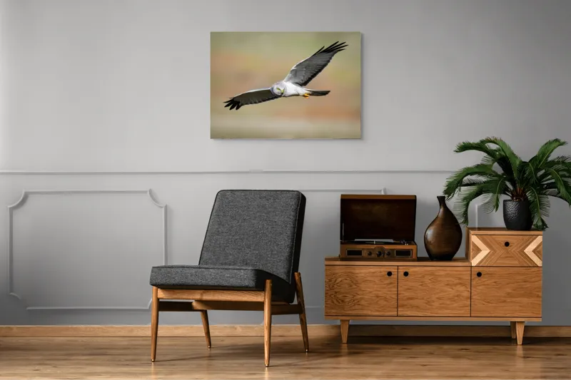 Tablou Canvas, "Vânătorul cerului în zbor lin", Pasăre, Zbor, Aripă, Cer, Natură, Pradă, Libertate, Eleganță, Cerneală, Răpitor., 100 x 70 cm – poza 8