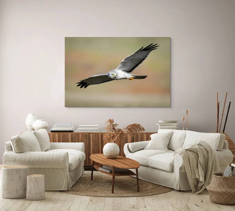 Tablou Canvas, "Vânătorul cerului în zbor lin", Pasăre, Zbor, Aripă, Cer, Natură, Pradă, Libertate, Eleganță, Cerneală, Răpitor., 150 x 100 cm – poza 3