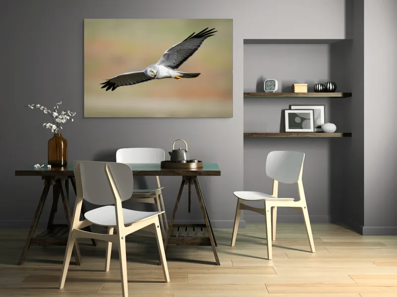 Tablou Canvas, "Vânătorul cerului în zbor lin", Pasăre, Zbor, Aripă, Cer, Natură, Pradă, Libertate, Eleganță, Cerneală, Răpitor., 150 x 100 cm – poza 5