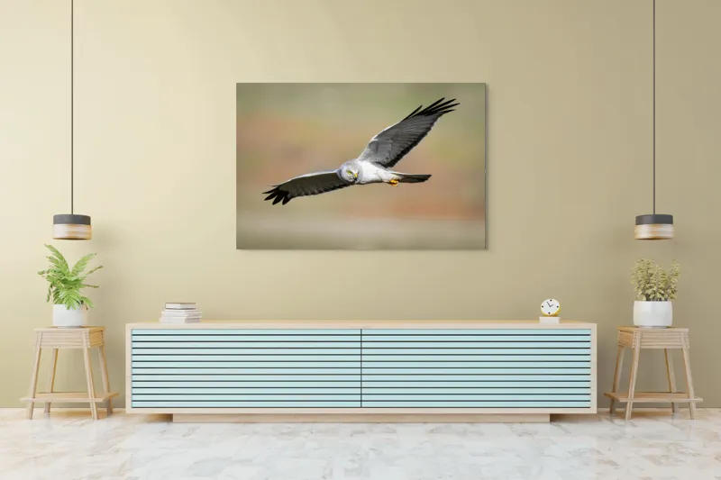 Tablou Canvas, "Vânătorul cerului în zbor lin", Pasăre, Zbor, Aripă, Cer, Natură, Pradă, Libertate, Eleganță, Cerneală, Răpitor., 150 x 100 cm – poza 6