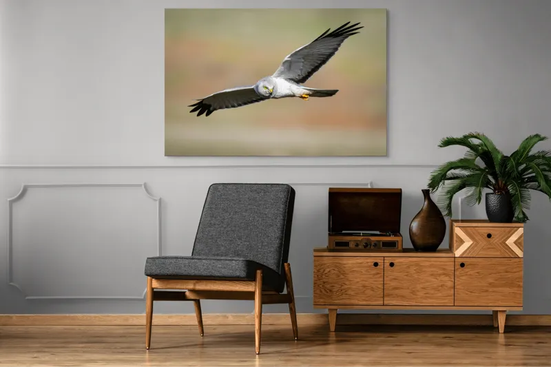 Tablou Canvas, "Vânătorul cerului în zbor lin", Pasăre, Zbor, Aripă, Cer, Natură, Pradă, Libertate, Eleganță, Cerneală, Răpitor., 150 x 100 cm – poza 8