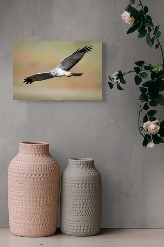 Tablou Canvas, "Vânătorul cerului în zbor lin", Pasăre, Zbor, Aripă, Cer, Natură, Pradă, Libertate, Eleganță, Cerneală, Răpitor., 39 x 26 cm – poza 4