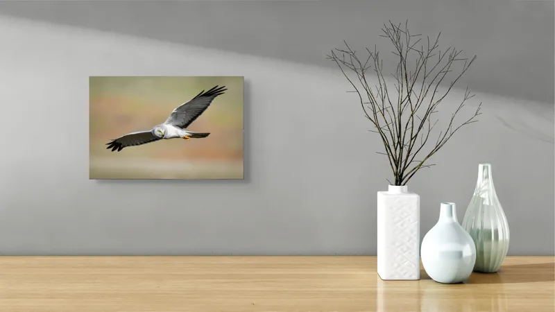 Tablou Canvas, "Vânătorul cerului în zbor lin", Pasăre, Zbor, Aripă, Cer, Natură, Pradă, Libertate, Eleganță, Cerneală, Răpitor., 39 x 26 cm – poza 8