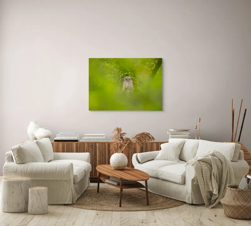 Tablou Canvas, "Bufnița ascunsă printre frunze verzi", Bufniță, Frunziș, Verde, Natură, Pene, Copac, Privire, Lumea Sălbatică, Ascunzătoare, Misterios, 100 x 70 cm – poza 3