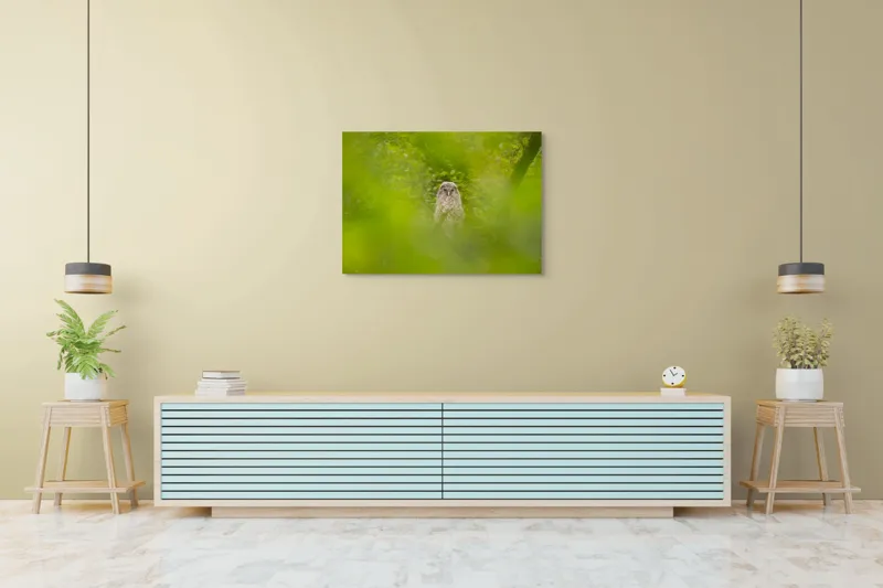 Tablou Canvas, "Bufnița ascunsă printre frunze verzi", Bufniță, Frunziș, Verde, Natură, Pene, Copac, Privire, Lumea Sălbatică, Ascunzătoare, Misterios, 100 x 70 cm – poza 4