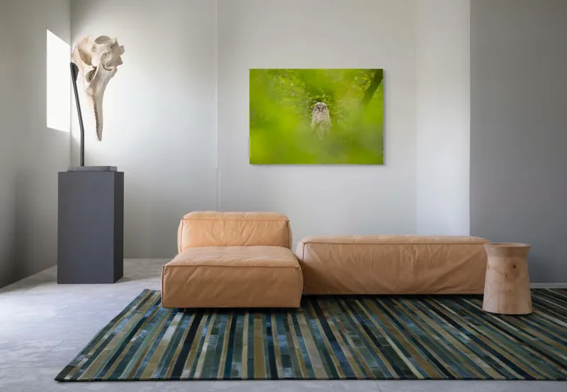 Tablou Canvas, "Bufnița ascunsă printre frunze verzi", Bufniță, Frunziș, Verde, Natură, Pene, Copac, Privire, Lumea Sălbatică, Ascunzătoare, Misterios, 100 x 70 cm – poza 7