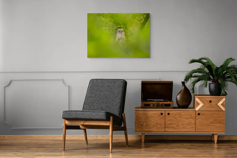 Tablou Canvas, "Bufnița ascunsă printre frunze verzi", Bufniță, Frunziș, Verde, Natură, Pene, Copac, Privire, Lumea Sălbatică, Ascunzătoare, Misterios, 100 x 70 cm – poza 8