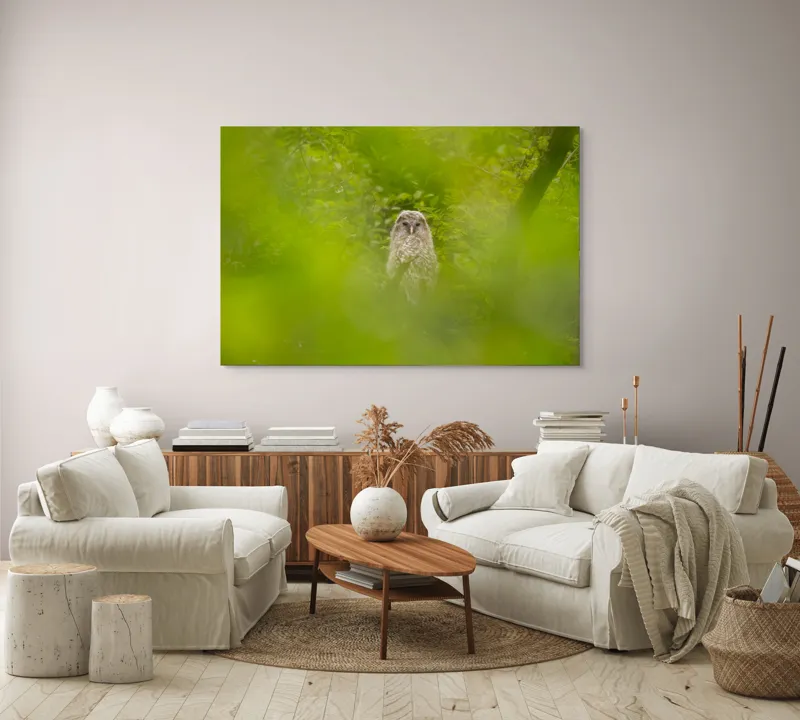Tablou Canvas, "Bufnița ascunsă printre frunze verzi", Bufniță, Frunziș, Verde, Natură, Pene, Copac, Privire, Lumea Sălbatică, Ascunzătoare, Misterios, 150 x 100 cm – poza 3