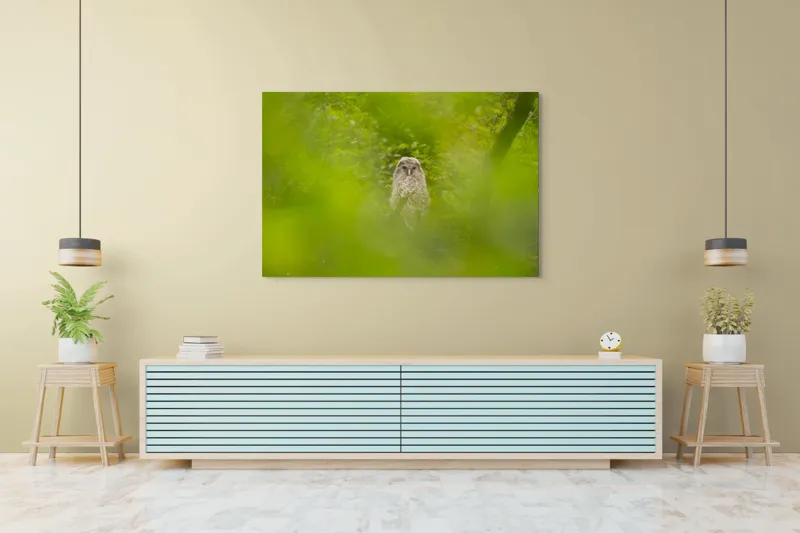 Tablou Canvas, "Bufnița ascunsă printre frunze verzi", Bufniță, Frunziș, Verde, Natură, Pene, Copac, Privire, Lumea Sălbatică, Ascunzătoare, Misterios, 150 x 100 cm – poza 6