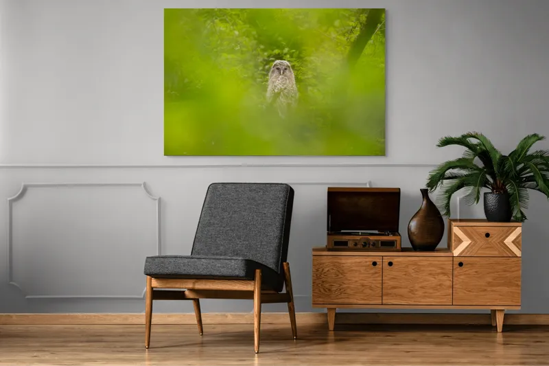 Tablou Canvas, "Bufnița ascunsă printre frunze verzi", Bufniță, Frunziș, Verde, Natură, Pene, Copac, Privire, Lumea Sălbatică, Ascunzătoare, Misterios, 150 x 100 cm – poza 8