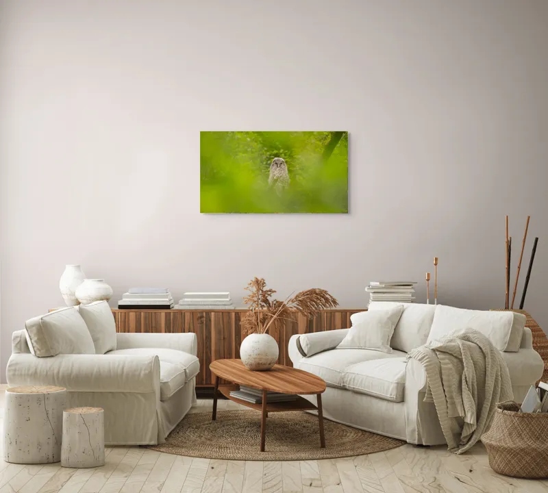 Tablou Canvas, "Bufnița ascunsă printre frunze verzi", Bufniță, Frunziș, Verde, Natură, Pene, Copac, Privire, Lumea Sălbatică, Ascunzătoare, Misterios, 90 x 50 cm – poza 4