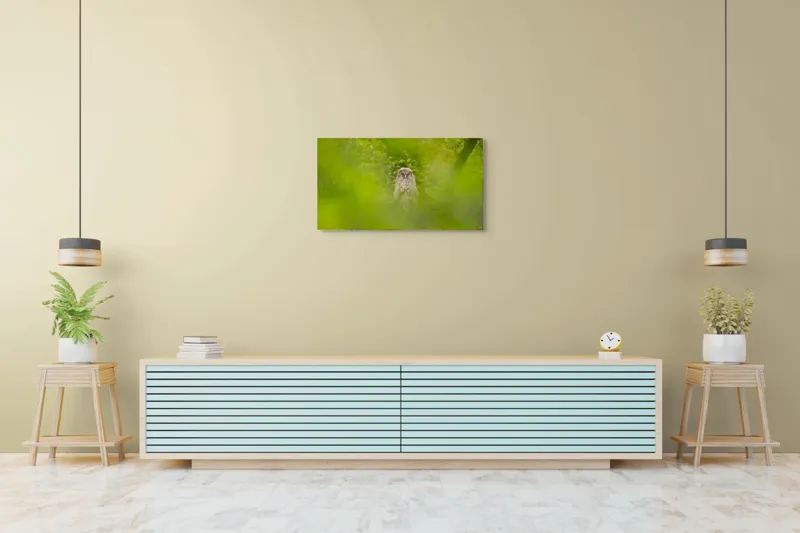 Tablou Canvas, "Bufnița ascunsă printre frunze verzi", Bufniță, Frunziș, Verde, Natură, Pene, Copac, Privire, Lumea Sălbatică, Ascunzătoare, Misterios, 90 x 50 cm – poza 5