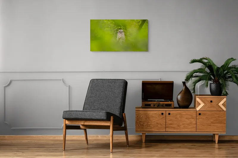 Tablou Canvas, "Bufnița ascunsă printre frunze verzi", Bufniță, Frunziș, Verde, Natură, Pene, Copac, Privire, Lumea Sălbatică, Ascunzătoare, Misterios, 90 x 50 cm – poza 6