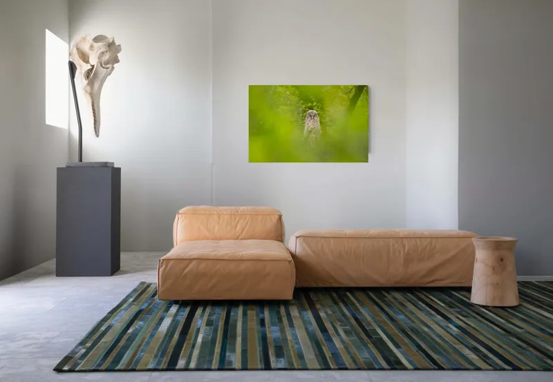 Tablou Canvas, "Bufnița ascunsă printre frunze verzi", Bufniță, Frunziș, Verde, Natură, Pene, Copac, Privire, Lumea Sălbatică, Ascunzătoare, Misterios, 90 x 50 cm – poza 8