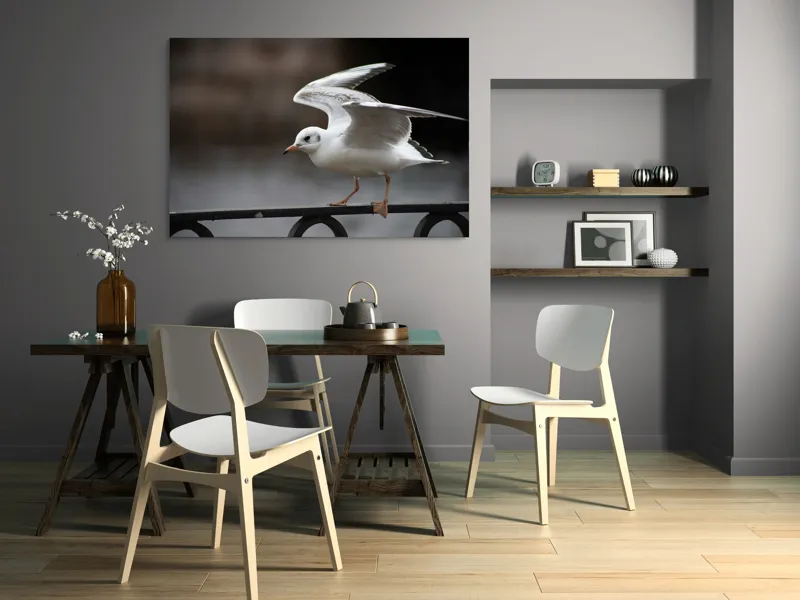 Tablou Canvas, "Pescărușul grațios în zbor lin", Alb, Fragil, Zbor, Grație, Natură, Aripi, Libertate, Seninătate, Linie, Contrast., 150 x 100 cm – poza 5