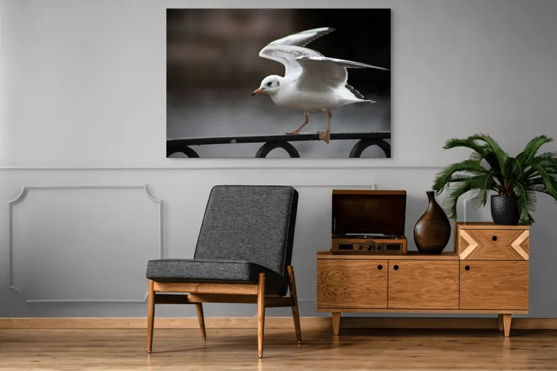 Tablou Canvas, "Pescărușul grațios în zbor lin", Alb, Fragil, Zbor, Grație, Natură, Aripi, Libertate, Seninătate, Linie, Contrast., 150 x 100 cm – poza 8