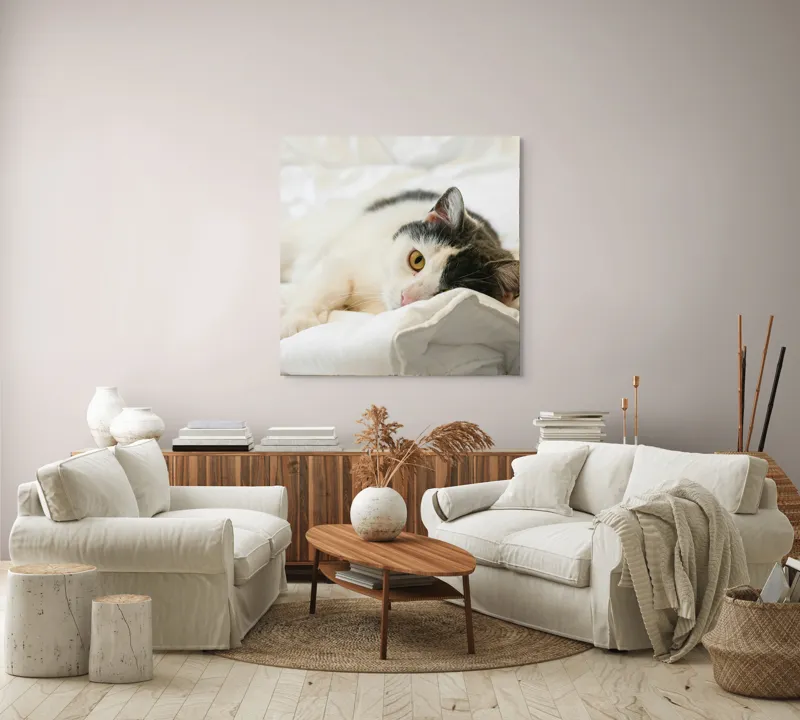 Tablou Canvas, "Pisică odihnindu-se pe așternuturi albe", Pisică, Întinsă, Blană, Albitură, Odihnă, Privire, Relaxare, 100 x 100 cm – poza 3