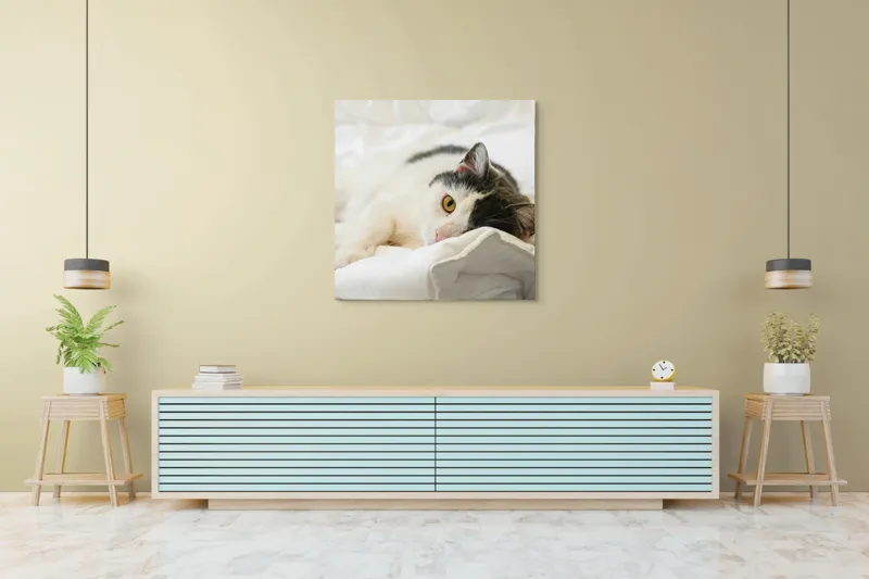 Tablou Canvas, "Pisică odihnindu-se pe așternuturi albe", Pisică, Întinsă, Blană, Albitură, Odihnă, Privire, Relaxare, 100 x 100 cm – poza 5