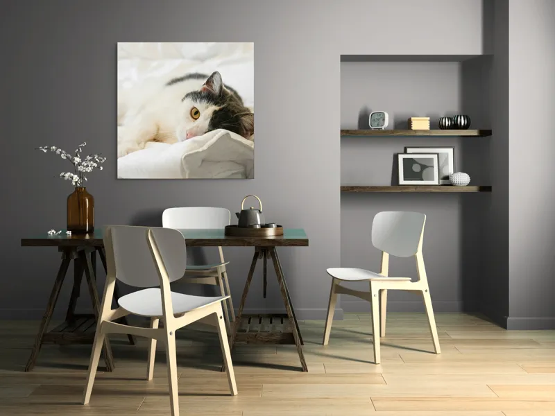 Tablou Canvas, "Pisică odihnindu-se pe așternuturi albe", Pisică, Întinsă, Blană, Albitură, Odihnă, Privire, Relaxare, 100 x 100 cm – poza 6