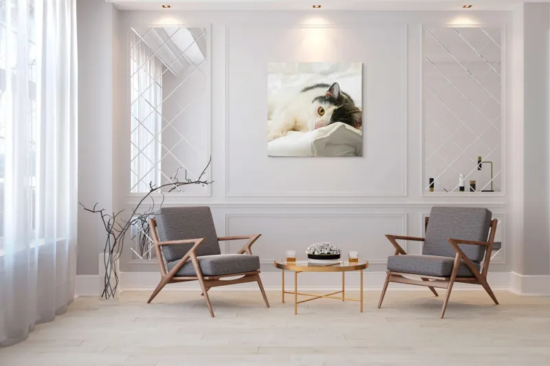 Tablou Canvas, "Pisică odihnindu-se pe așternuturi albe", Pisică, Întinsă, Blană, Albitură, Odihnă, Privire, Relaxare, 100 x 100 cm – poza 7