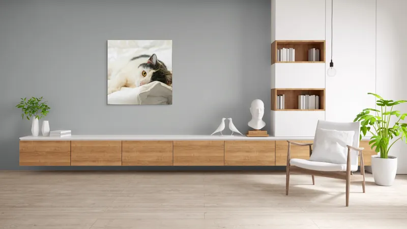 Tablou Canvas, "Pisică odihnindu-se pe așternuturi albe", Pisică, Întinsă, Blană, Albitură, Odihnă, Privire, Relaxare, 100 x 100 cm – poza 8