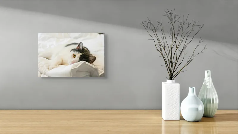 Tablou Canvas, "Pisică odihnindu-se pe așternuturi albe", Pisică, Întinsă, Blană, Albitură, Odihnă, Privire, Relaxare, 39 x 26 cm – poza 8