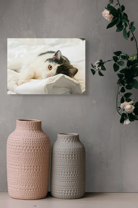 Tablou Canvas, "Pisică odihnindu-se pe așternuturi albe", Pisică, Întinsă, Blană, Albitură, Odihnă, Privire, Relaxare, 54 x 39 cm – poza 8